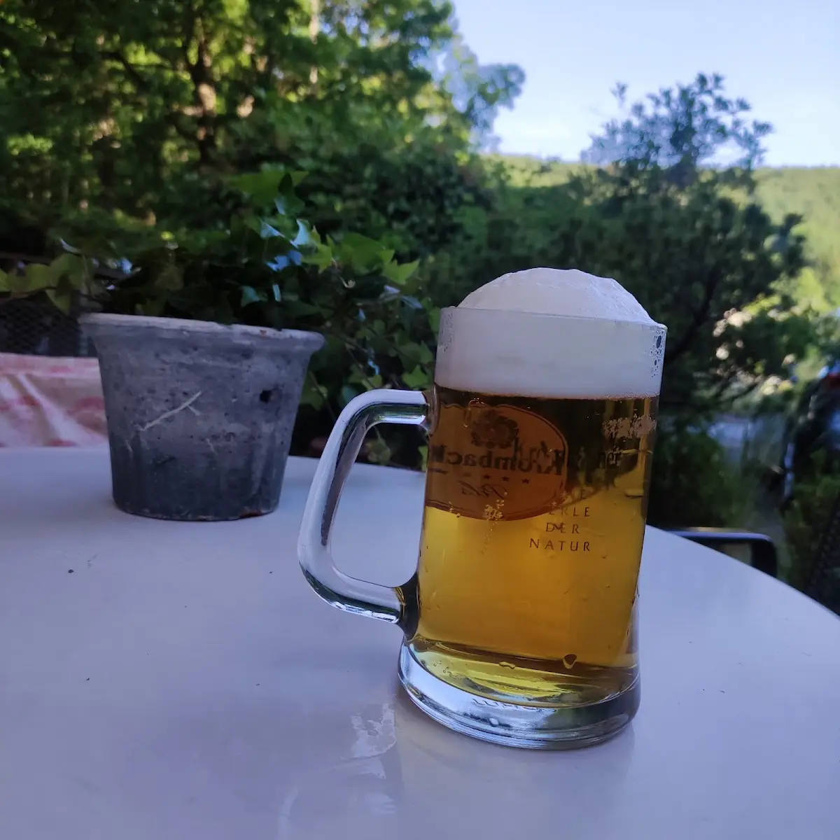 Bier