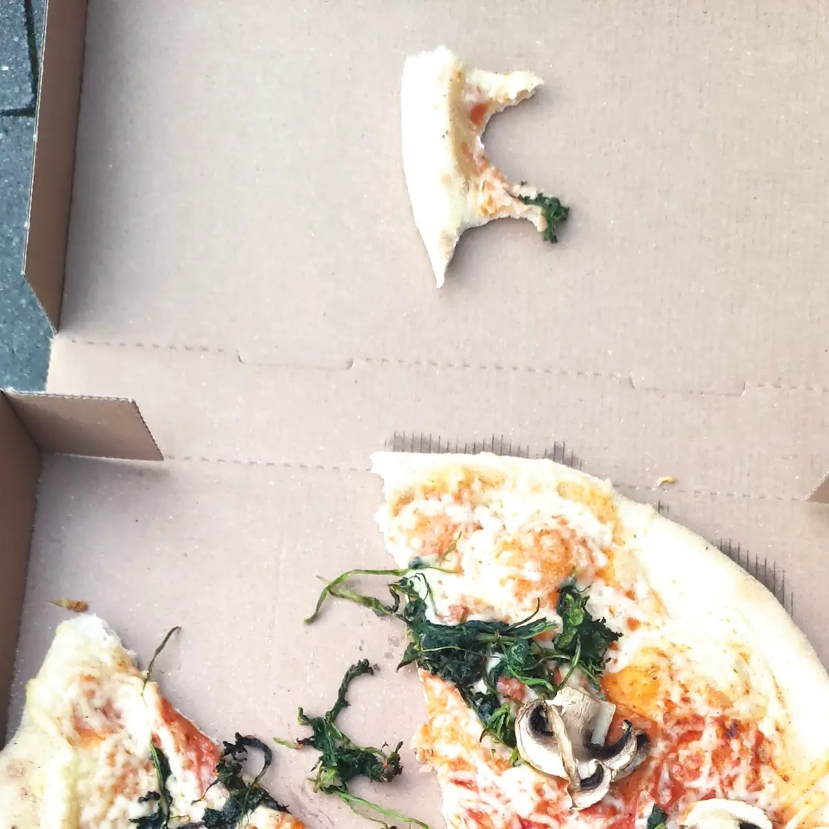 Highlights, New York Pizza