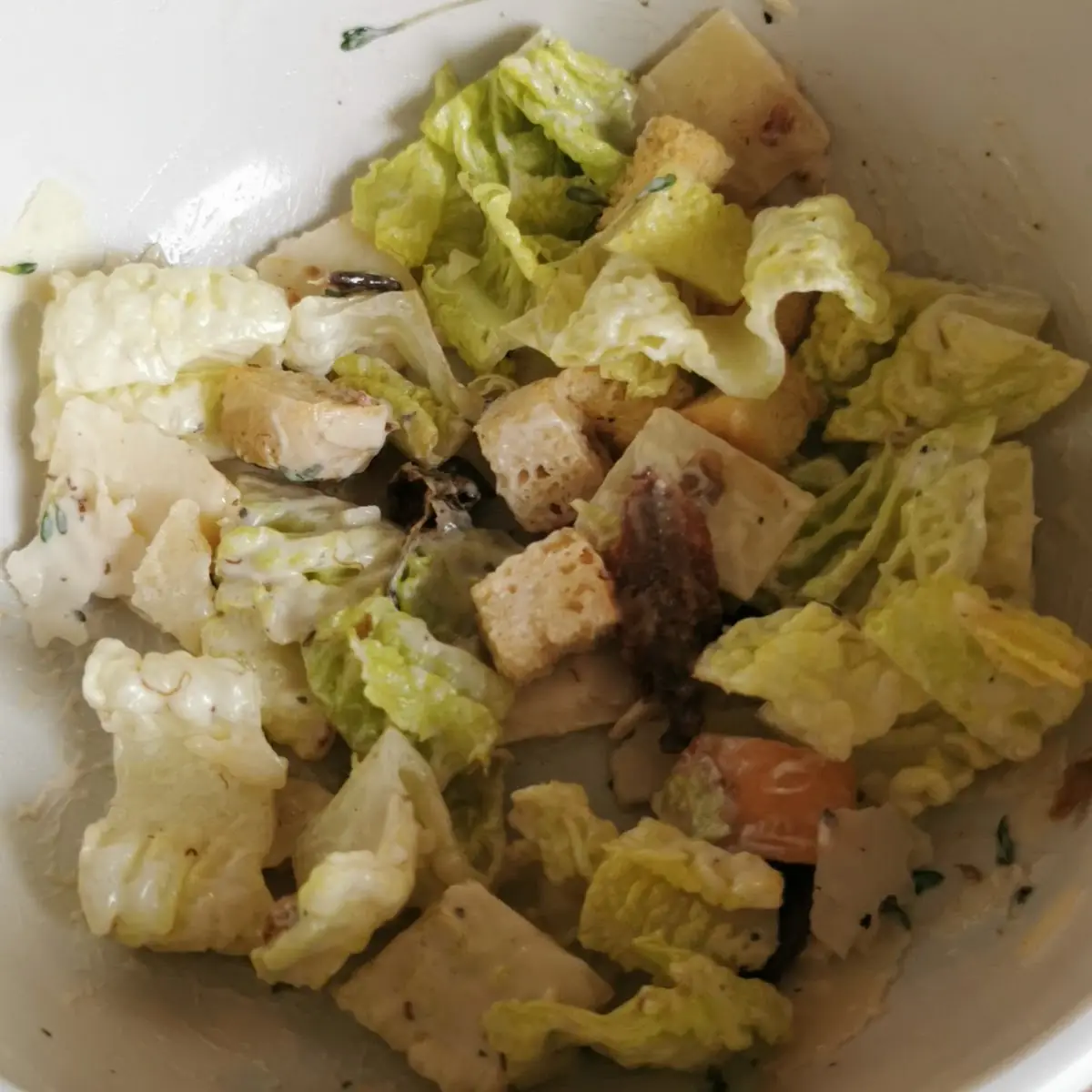 Cesar Salat Oder