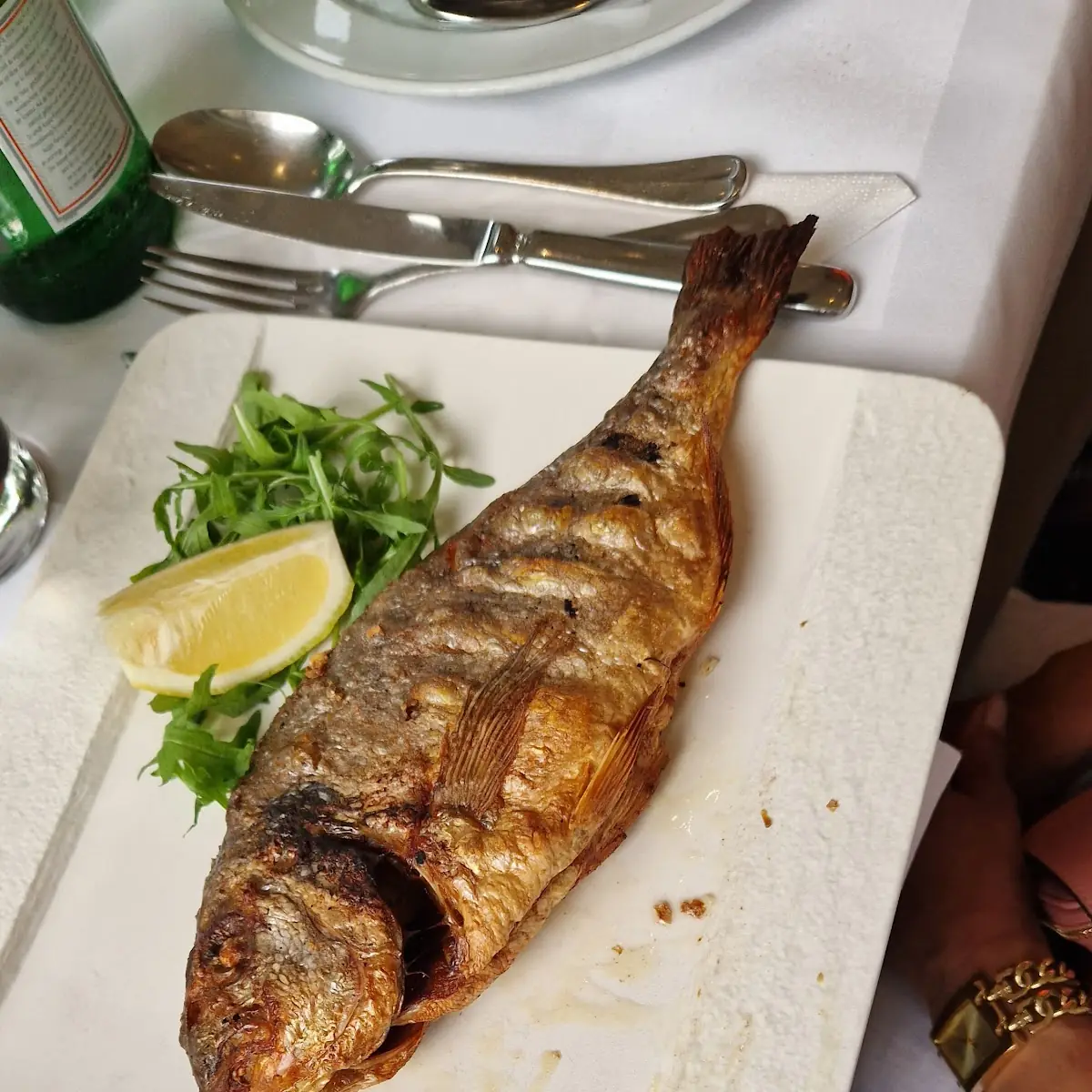 Dorade