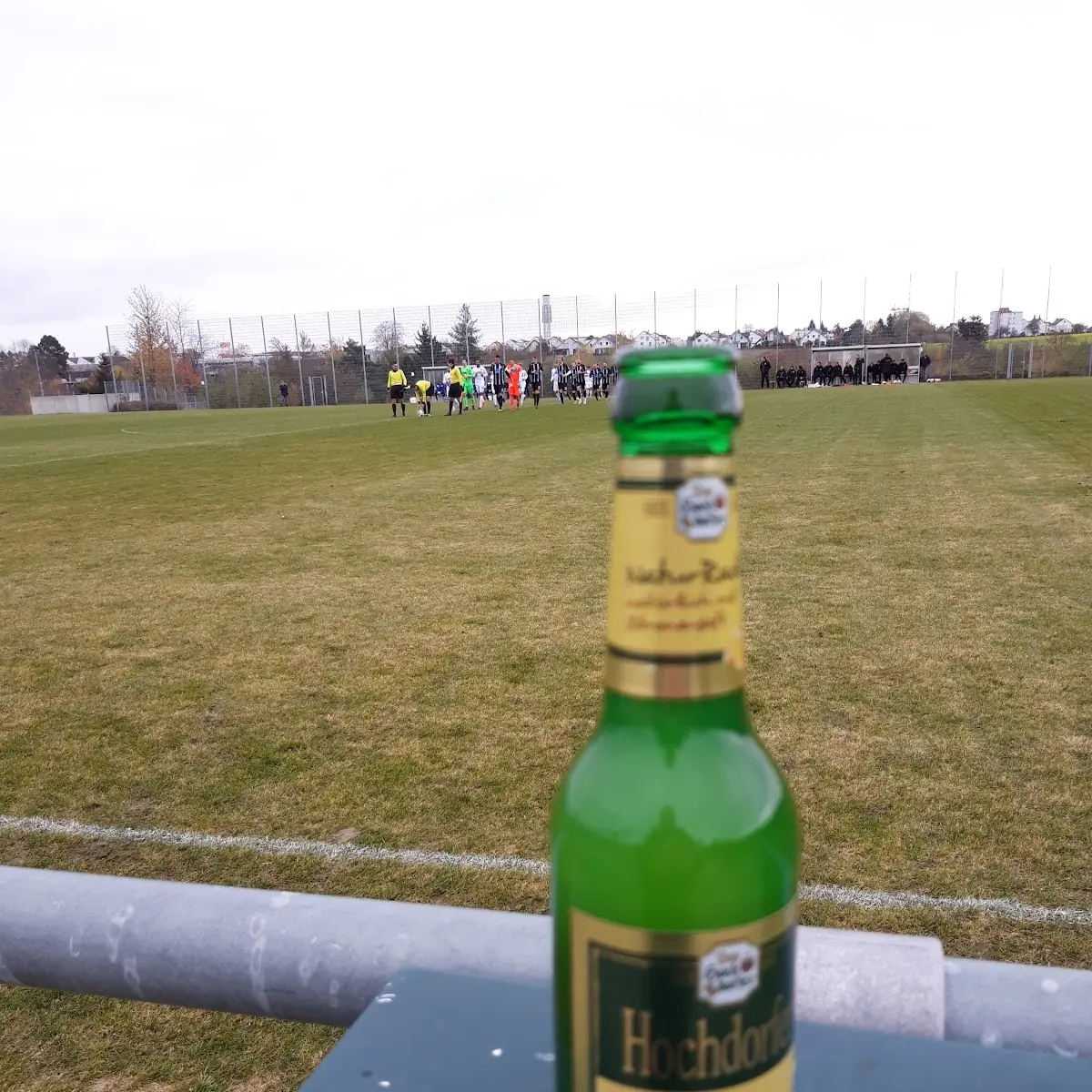 Bier