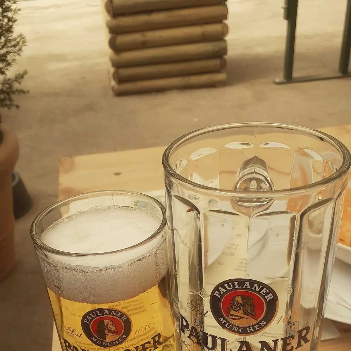 Bier