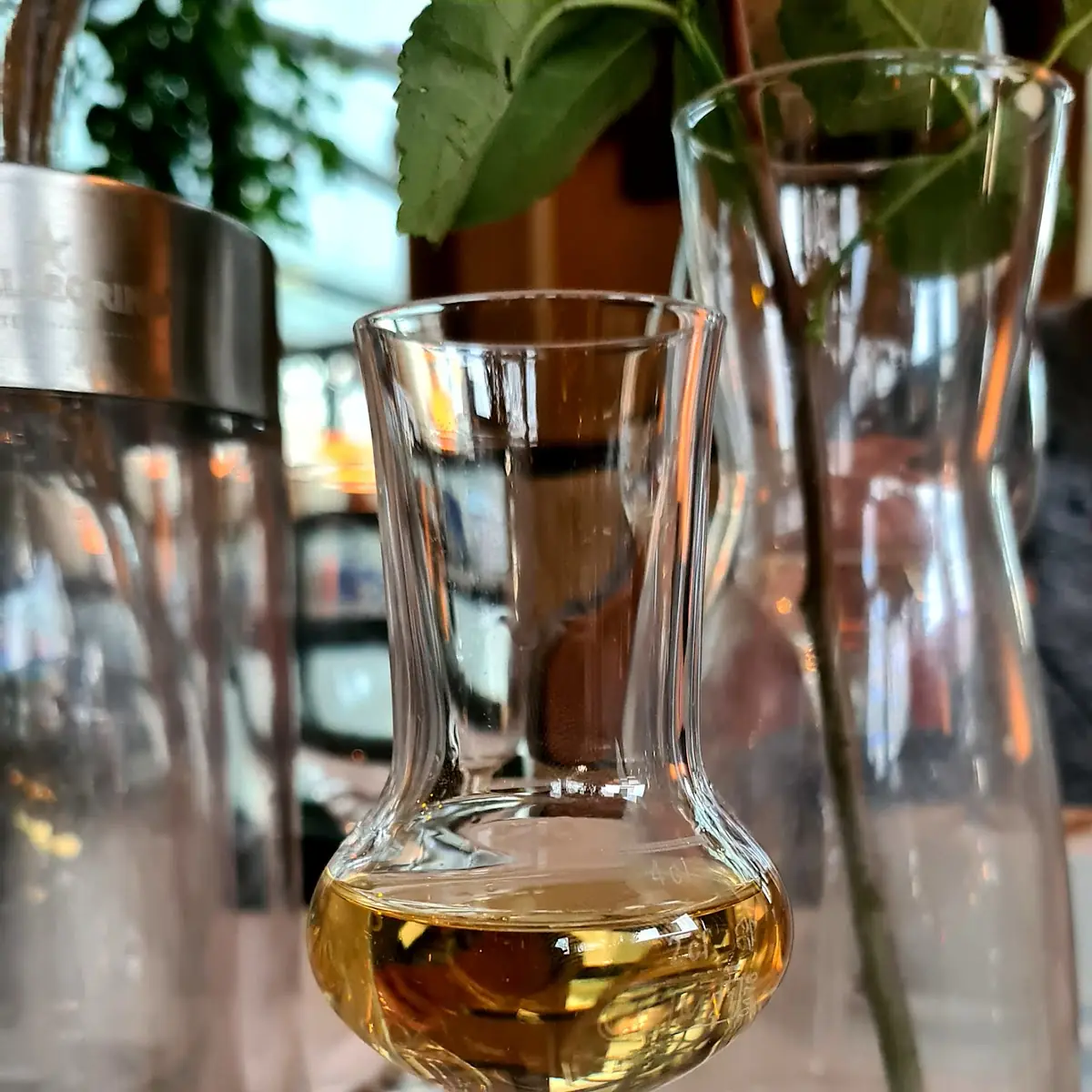 Grappa