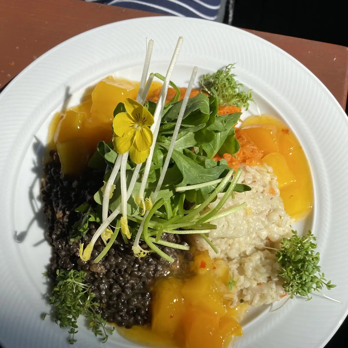 Mango