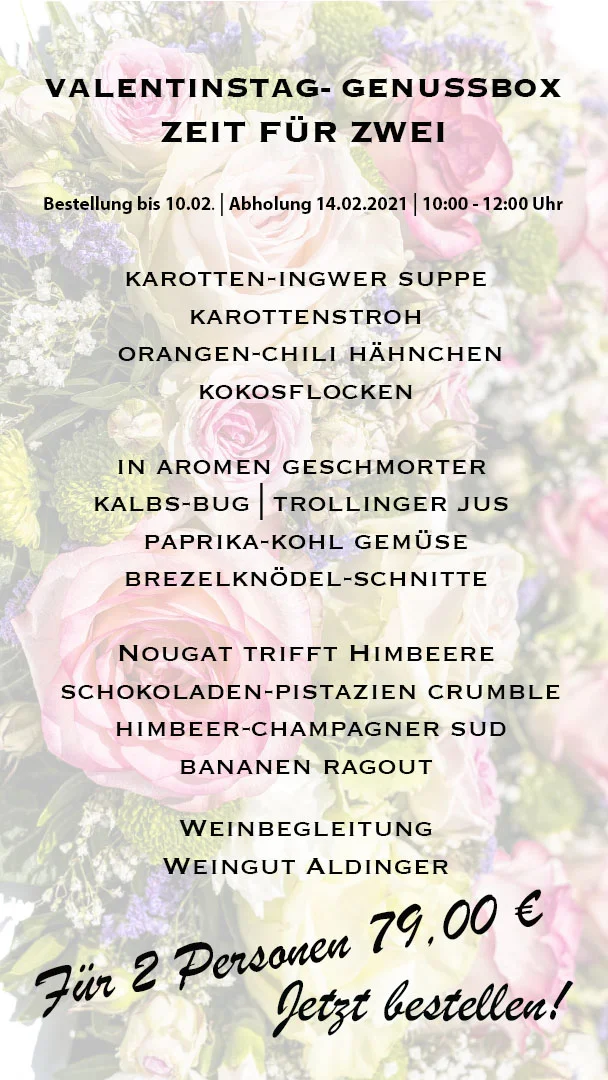 Speisekarte, Wirtshaus Zum Löwen Steinenbronn