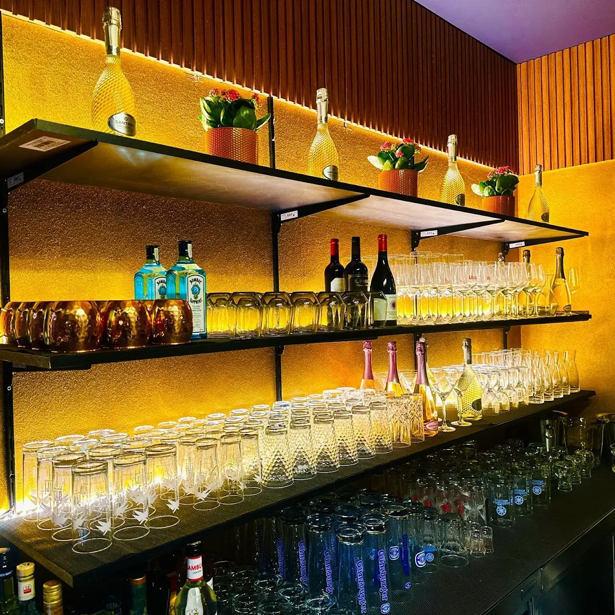 Atmosphäre, Rani Indian Delight