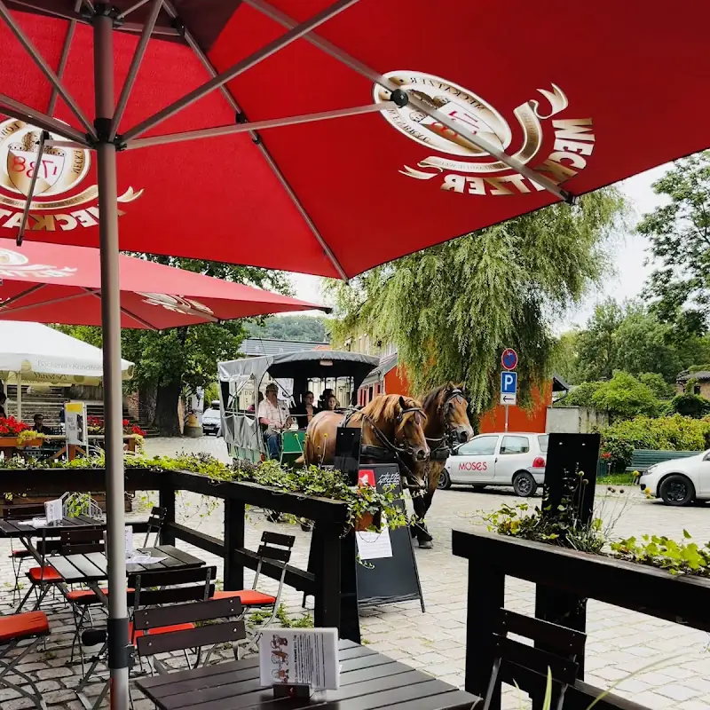 MOSES Café Bistro Vinothek