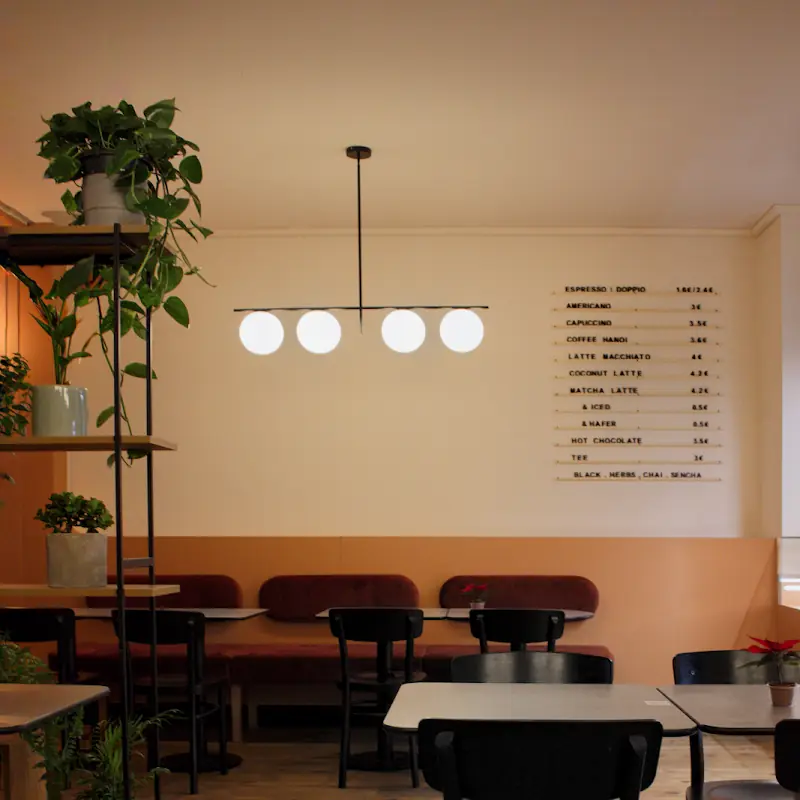 LEVI - Asian Fusion Kitchen