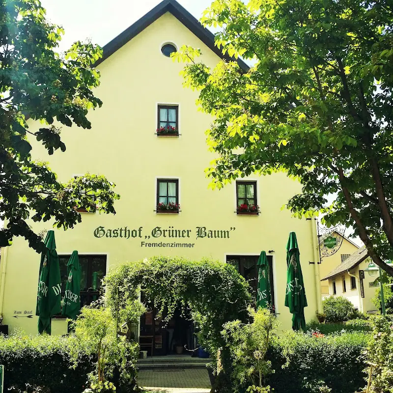 Hotel - Landgasthof Grüner Baum Dittigheim