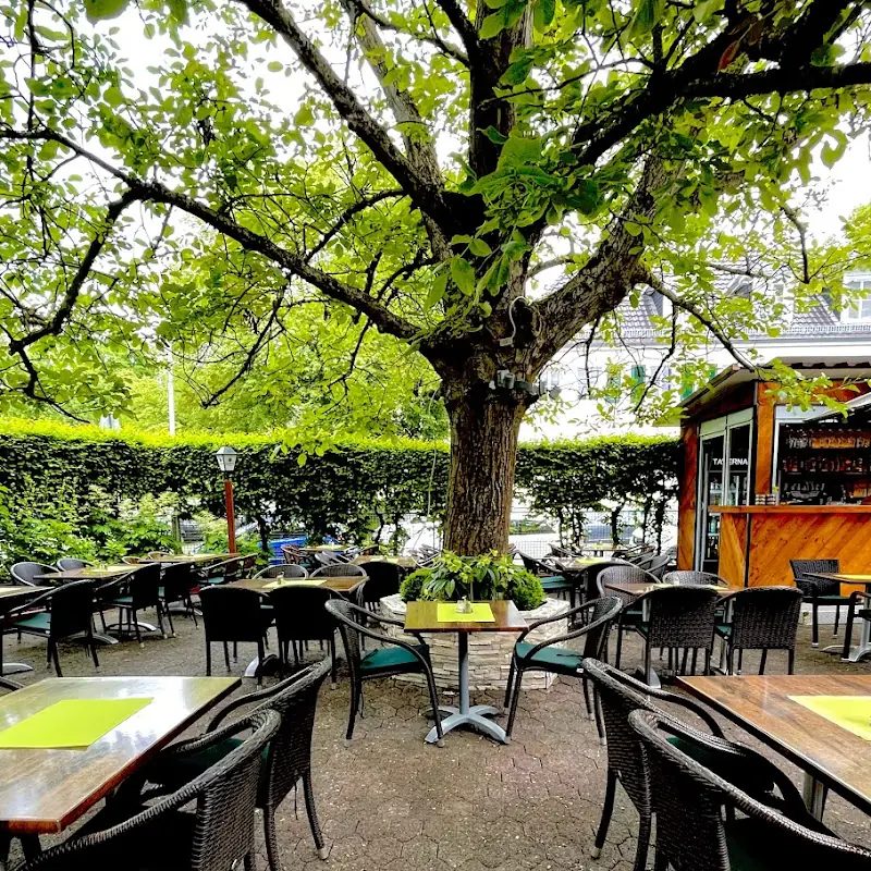 Taverna Vassili - Restaurant mit Saal und Terrasse - Ihr Grieche in Wiesbaden
