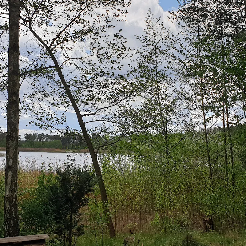 Imbiss am Branitzer Badesee