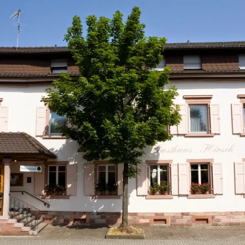 Hotel Hirsch