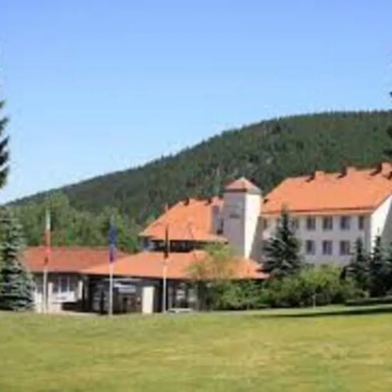 Waldhotel Berghof Luisenthal