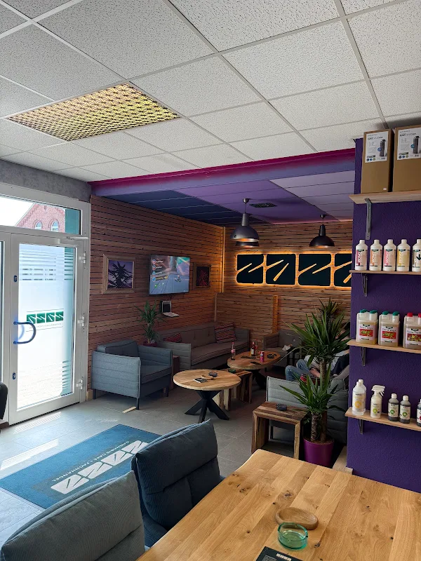 zaza Cannabis Café + Fachhandel