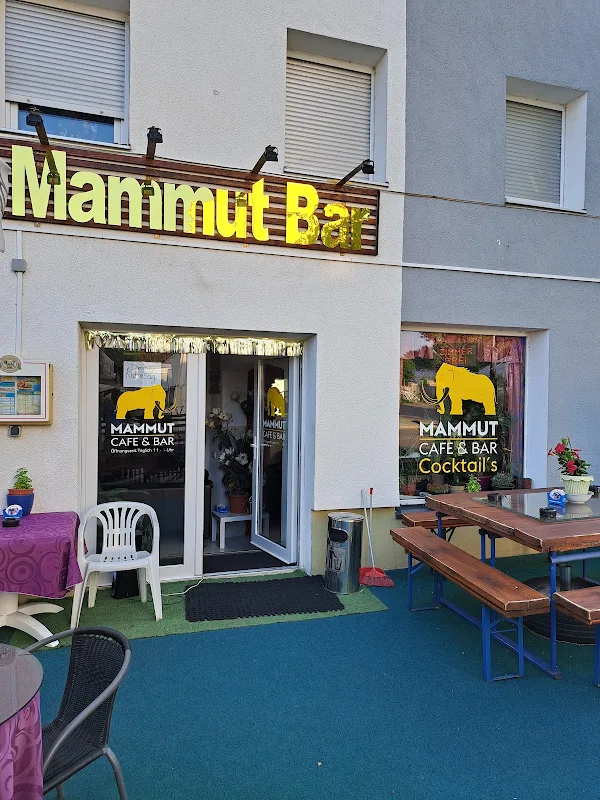 Mammut Bar