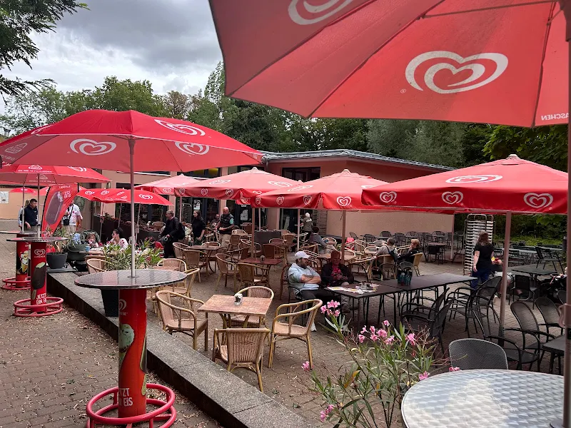 Dschungelcafé im Zoo