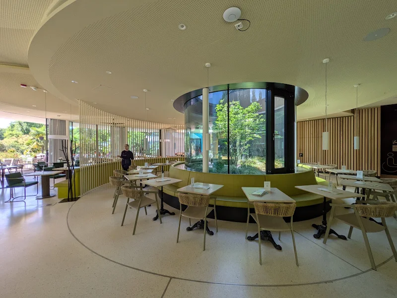 Cafe Gondoletta