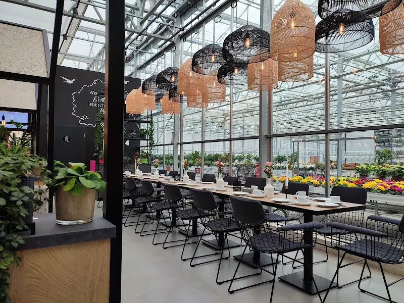 Café Karl by woelk