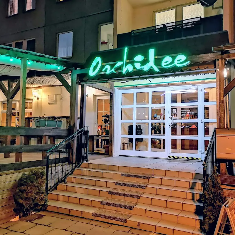 Orchidee - Magdeburg