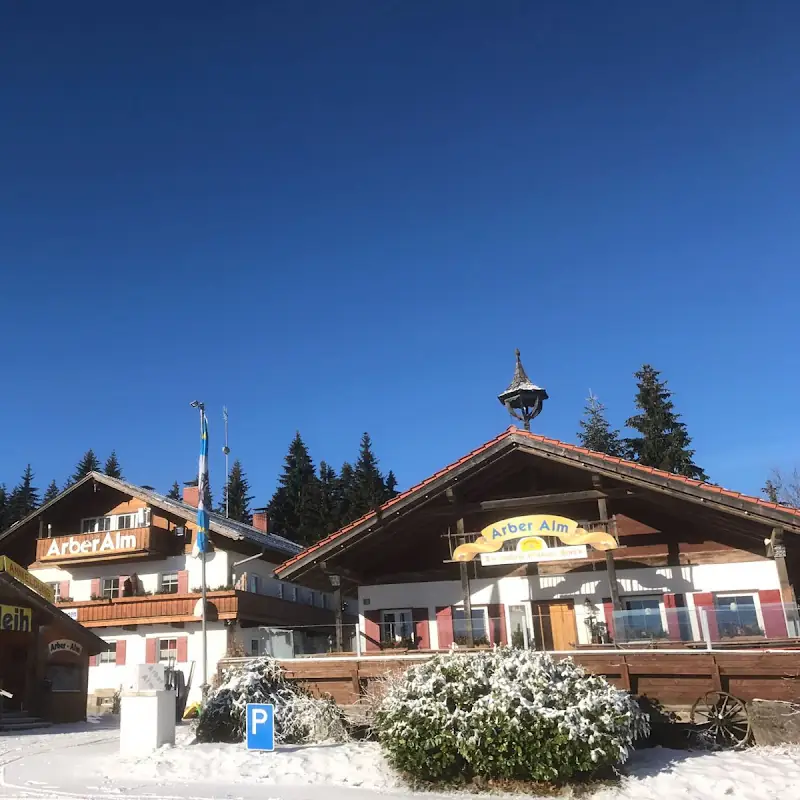 Arber-Alm