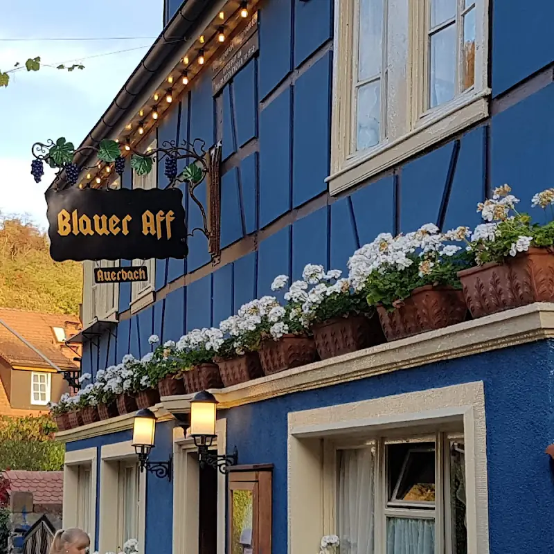 Blauer Aff