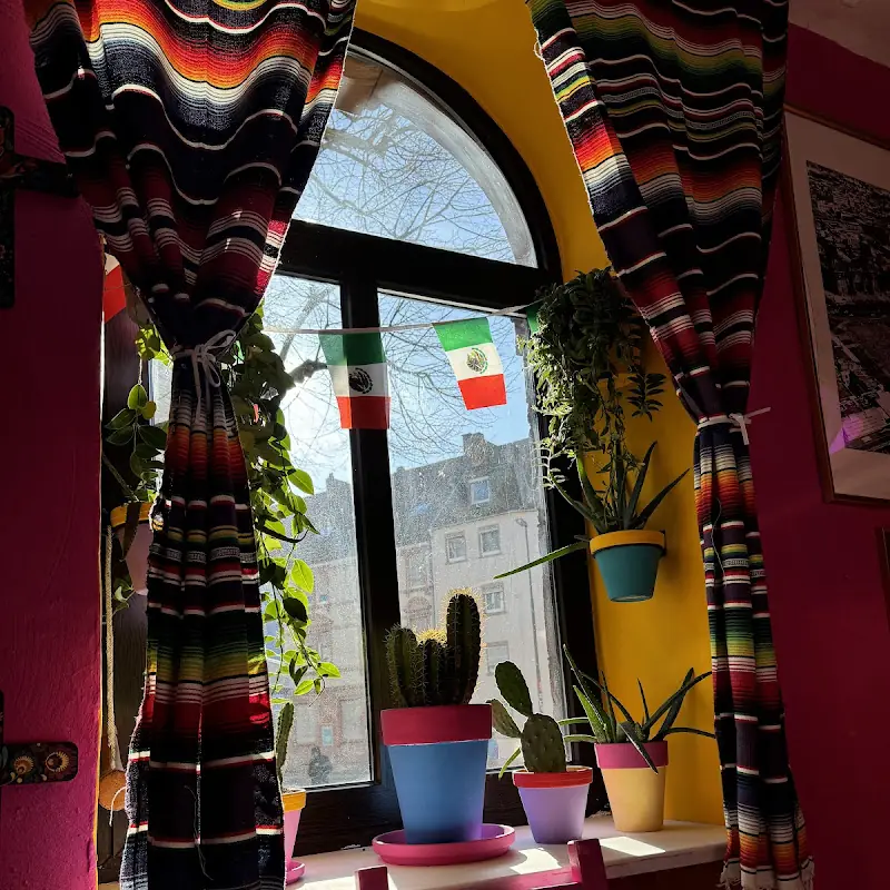 Mexican Pink