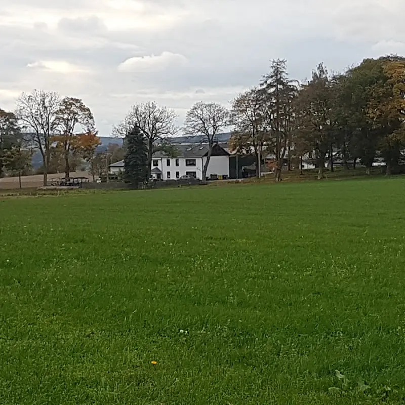 Heiterer Blick
