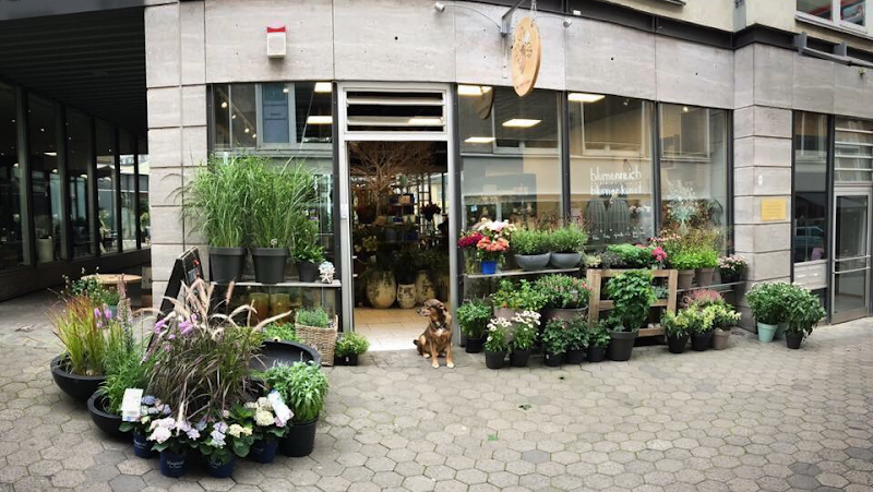 Morgentau Café & Floristik