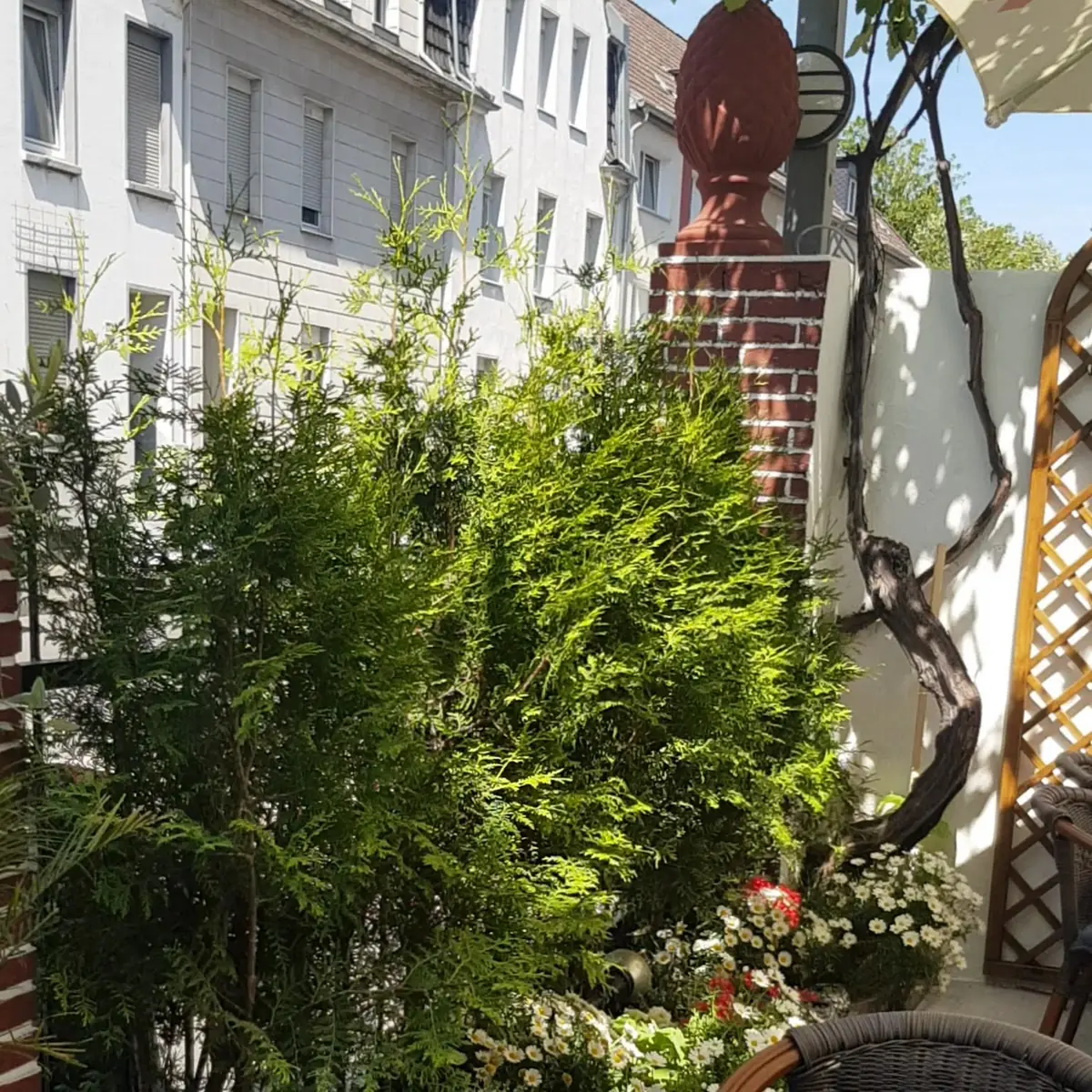 Atmosphäre photo 2
