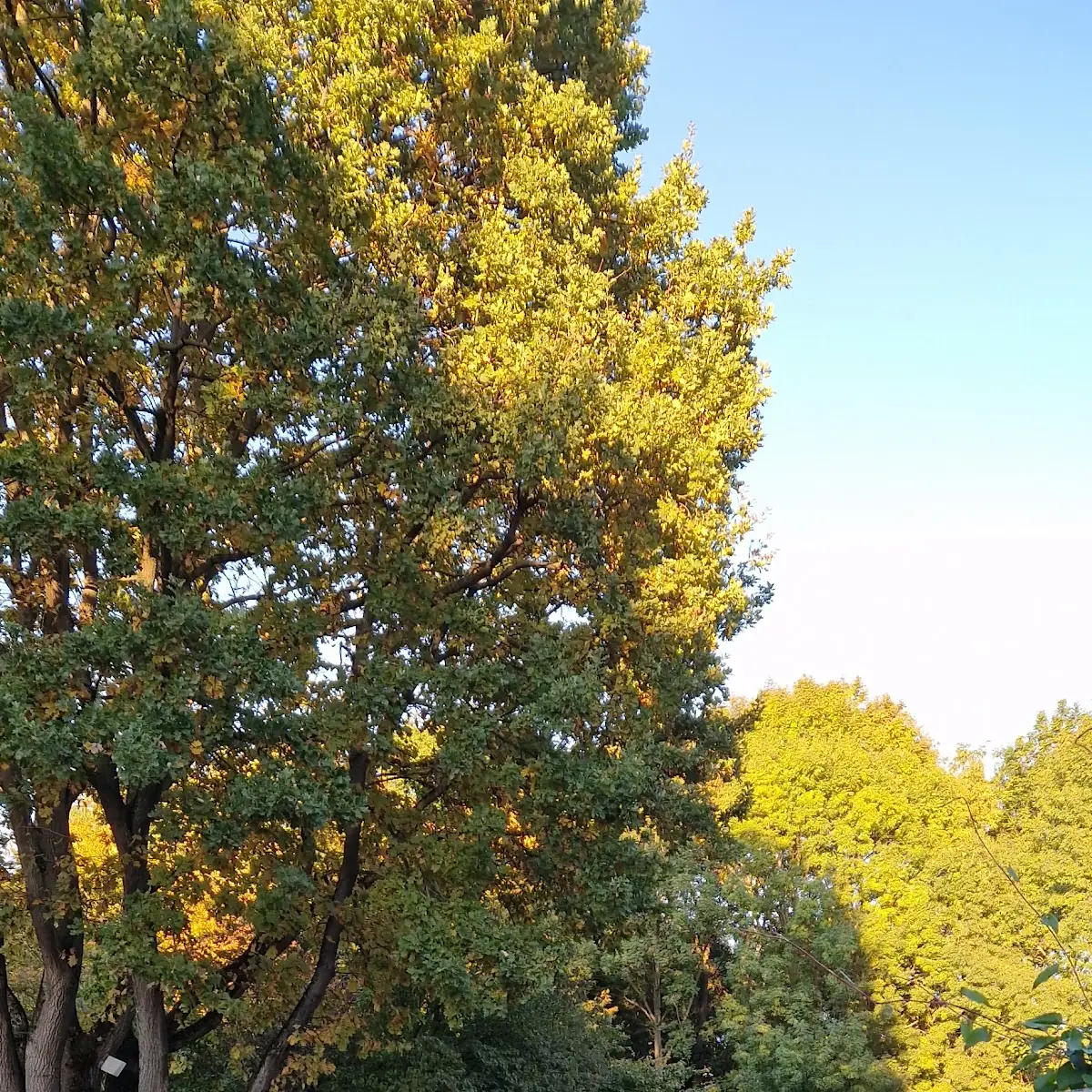 Atmosphäre photo 8
