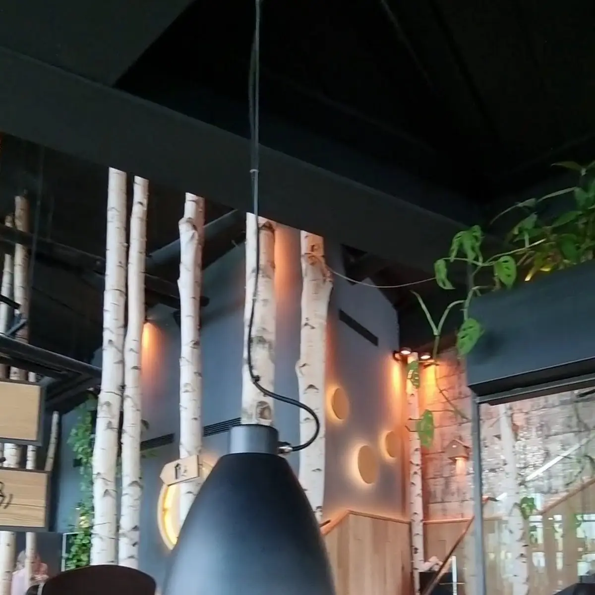 Atmosphäre photo 8