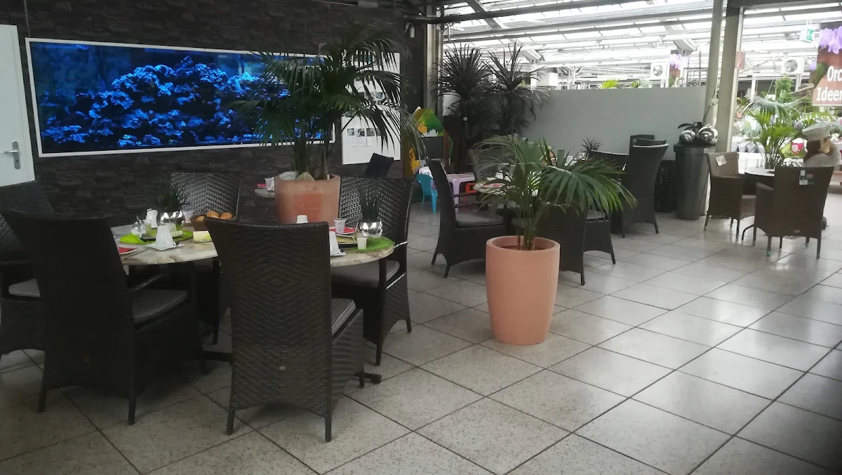Atmosphäre photo 6