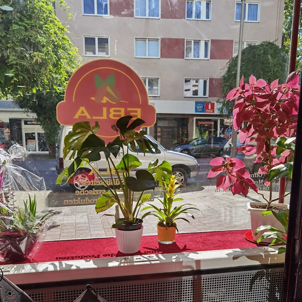 Atmosphäre photo 3