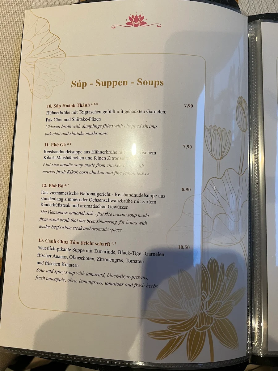 Speisekarte, Hoa Sen Vietnamesisches Restaurant