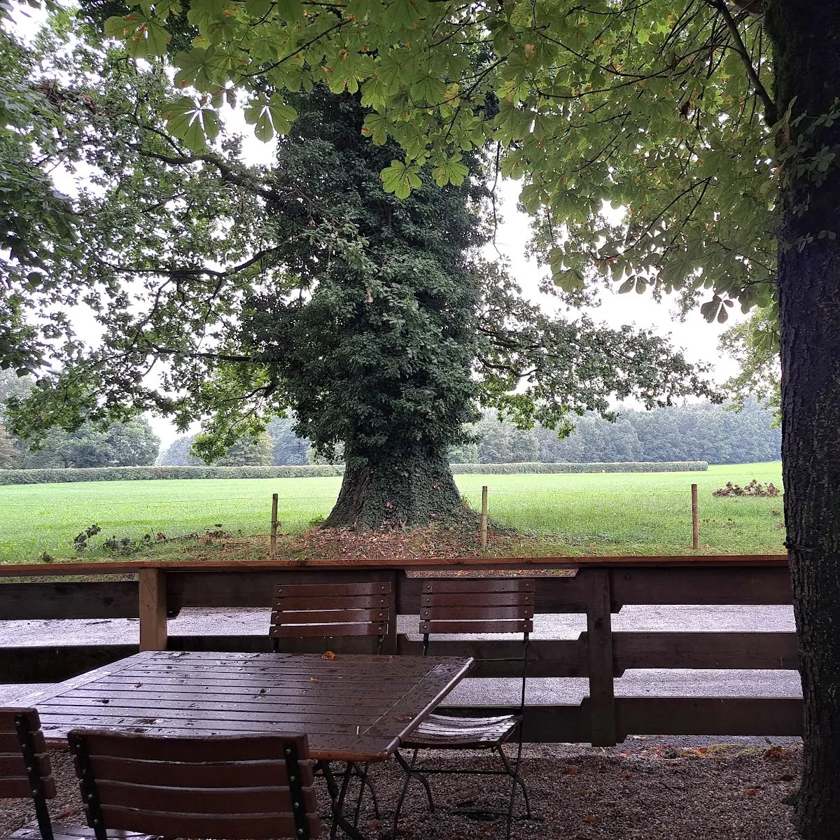 Atmosphäre photo 8