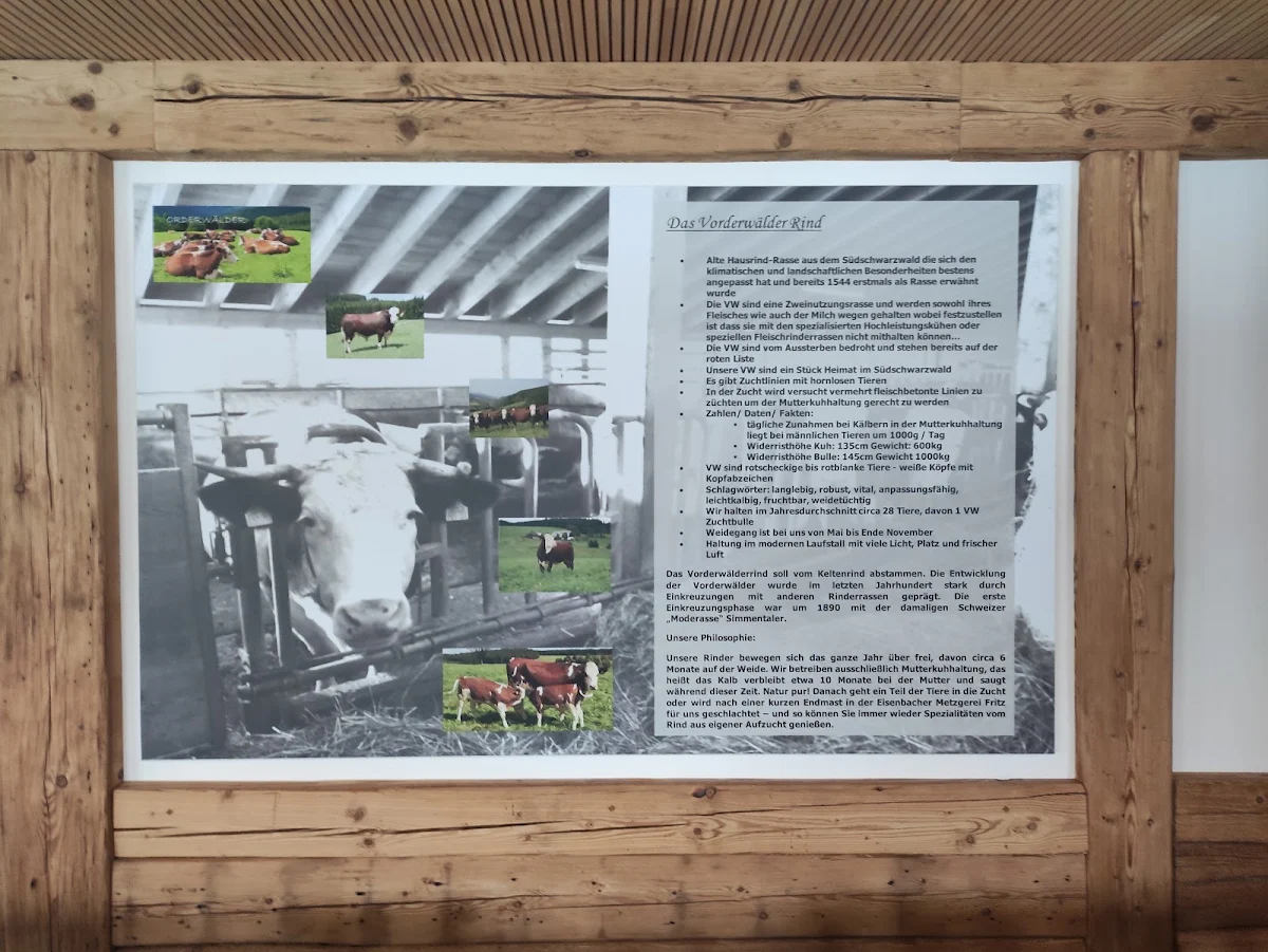 Speisekarte photo 6