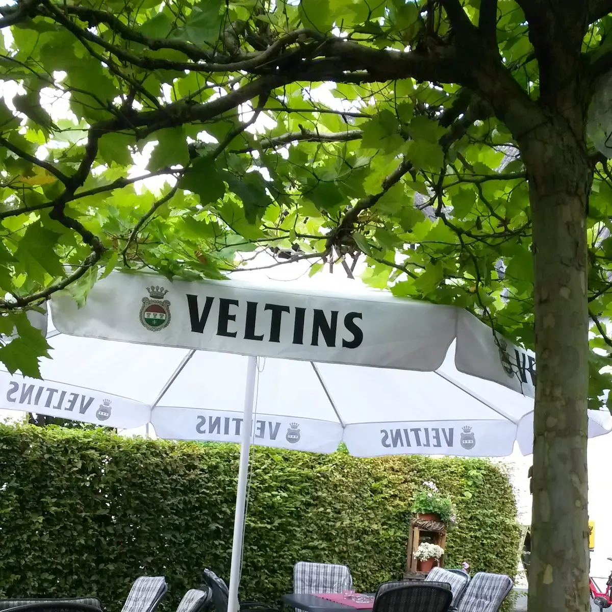 Atmosphäre, Gaststätte Zur Schwalbe