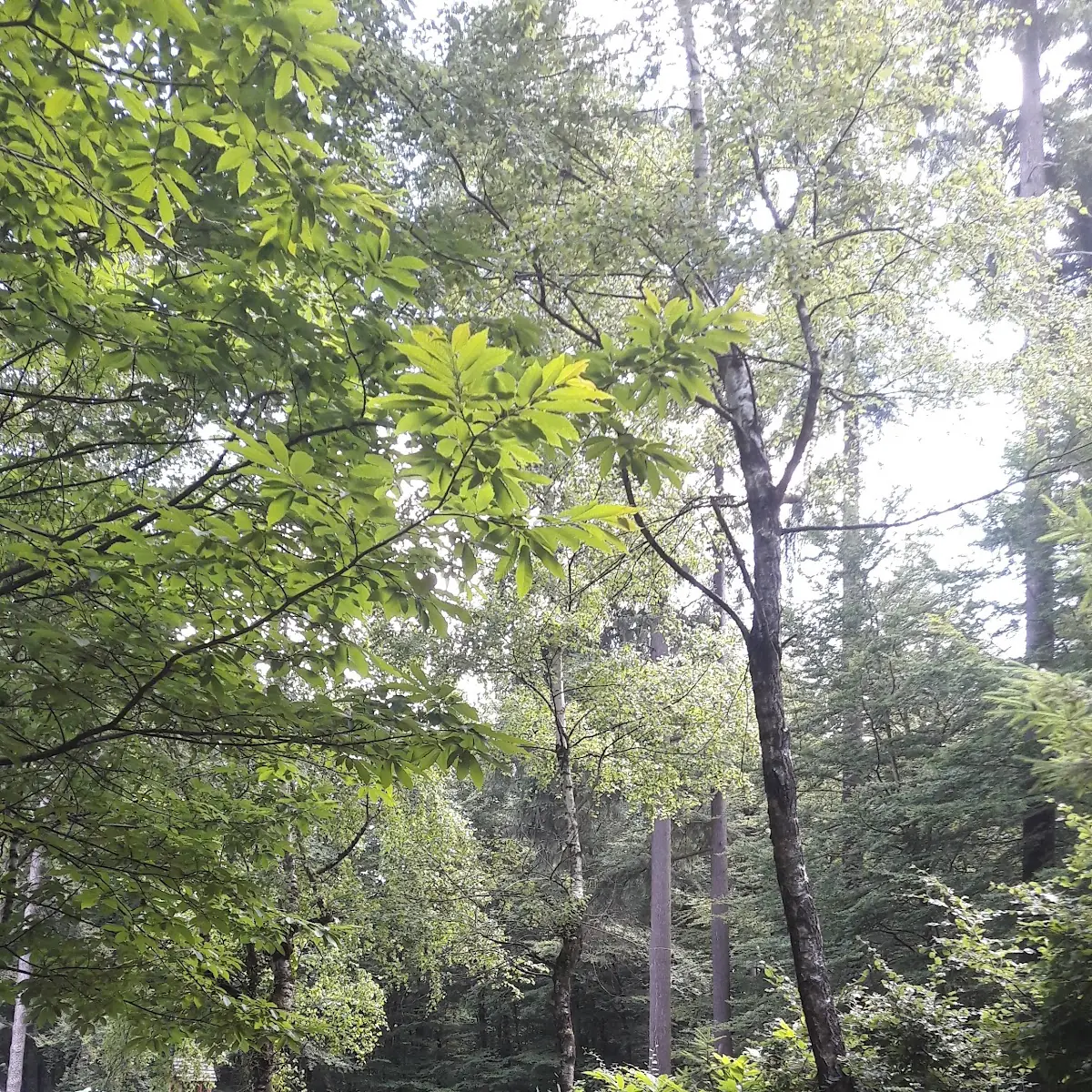 Atmosphäre photo 6