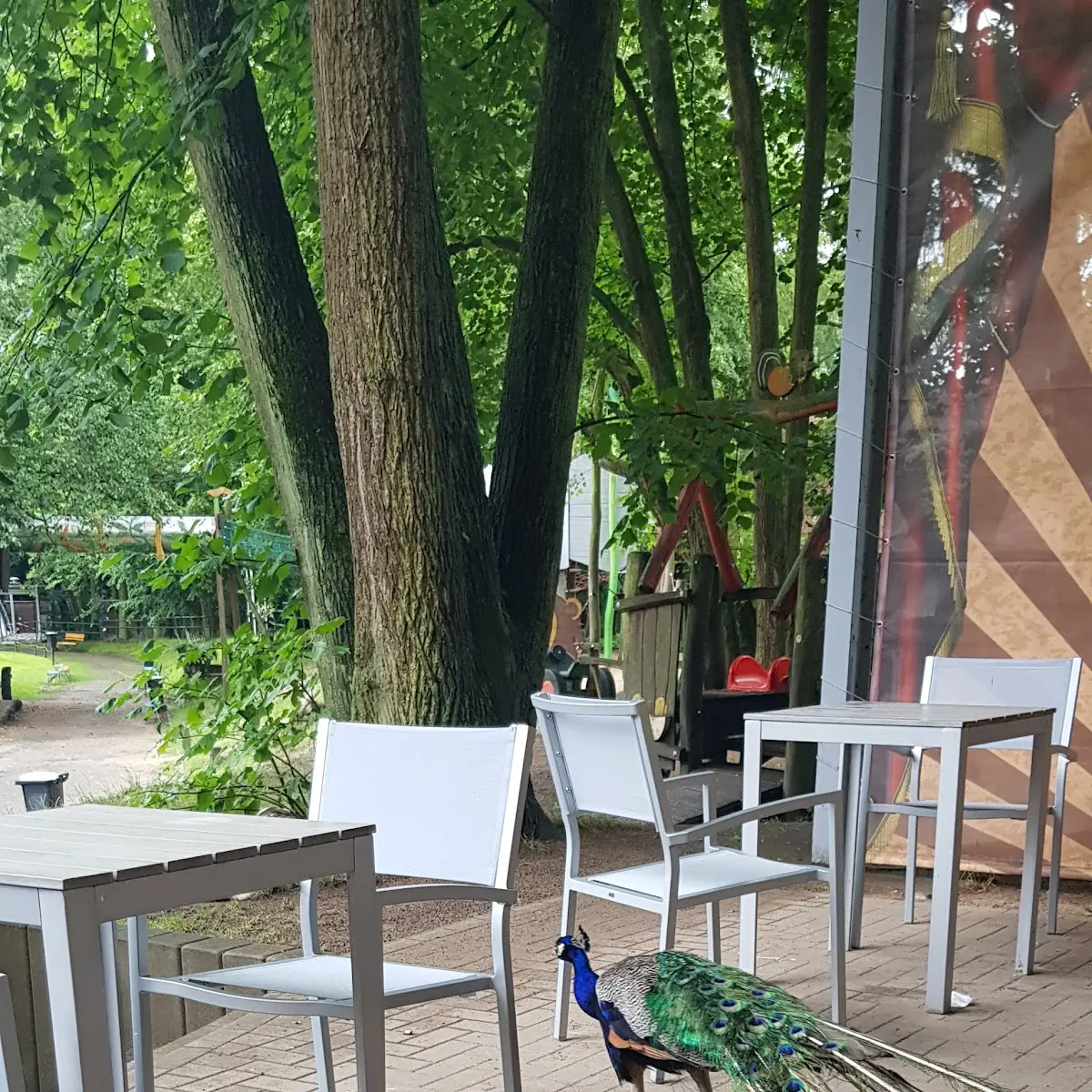Atmosphäre photo 6