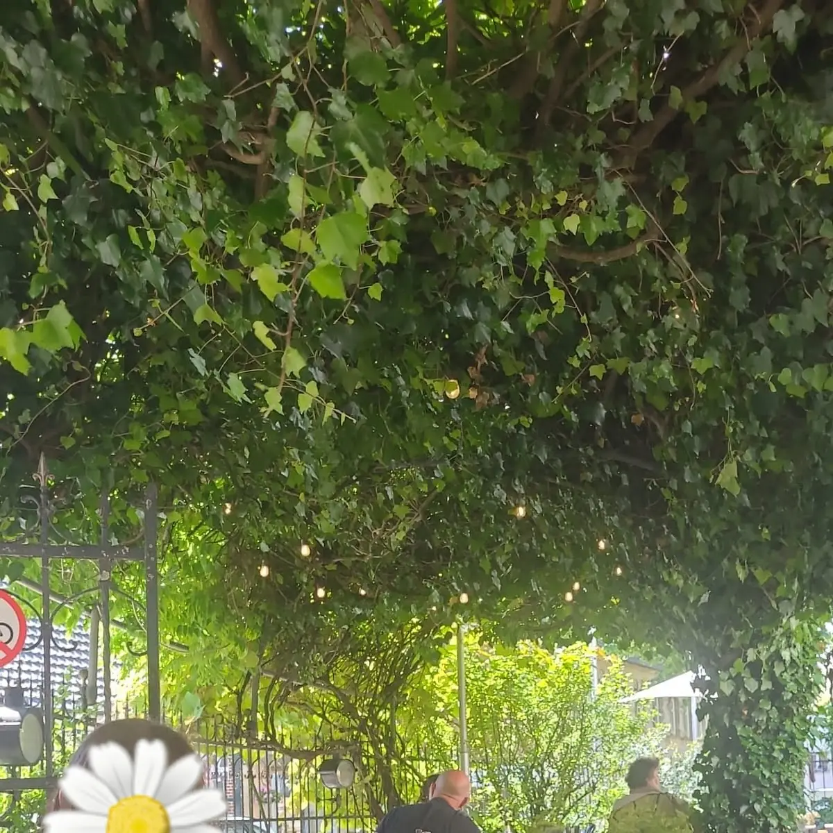 Atmosphäre photo 2