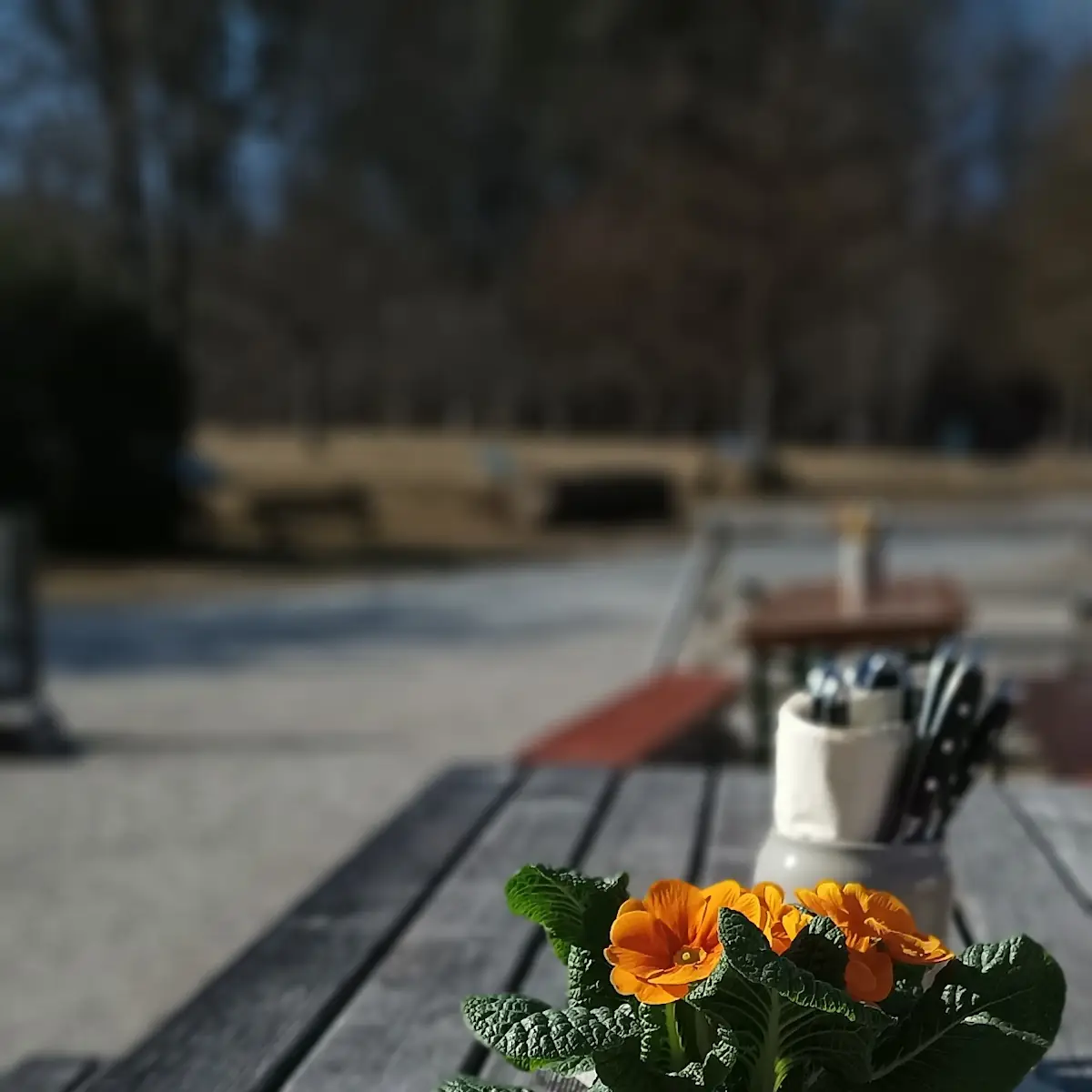 Speisekarte photo 9