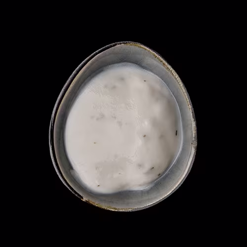 Joghurt-Dressing 80ml